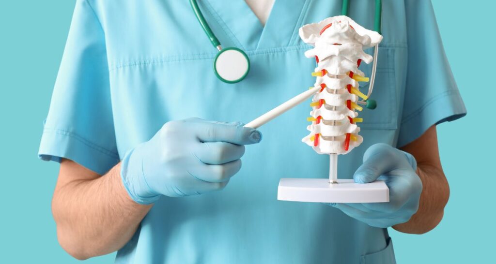 ortho pcd pharma franchise | Kroyf Labs